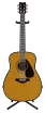 Acoustic Guitar